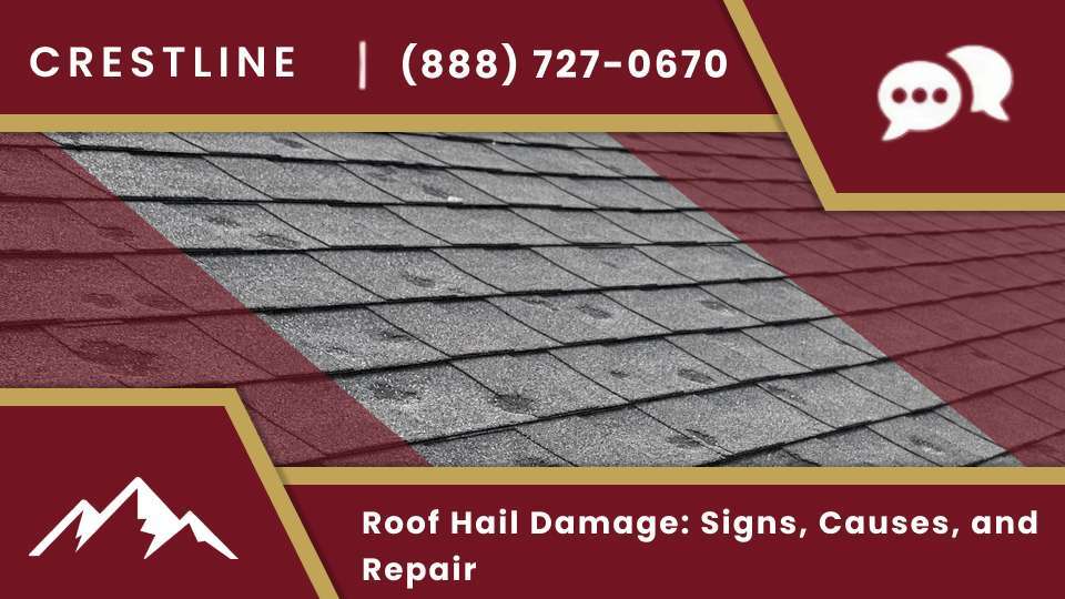 Roof hail damage on storm damaged shingles documented for a hail damage insurance claim and roof repair.